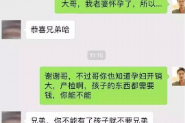 苍梧如果欠债的人消失了怎么查找，专业讨债公司的找人方法